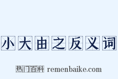 小大由之反义词是什么意思的图片